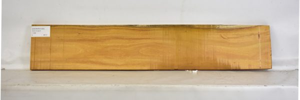 OSORARG1025_2