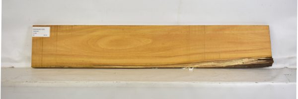 OSORARG1026_2