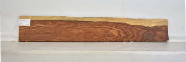 PAUFER1065_2