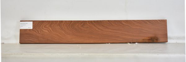 PAUFER1067_2