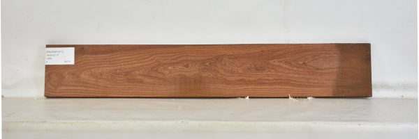PAUFER1071_1
