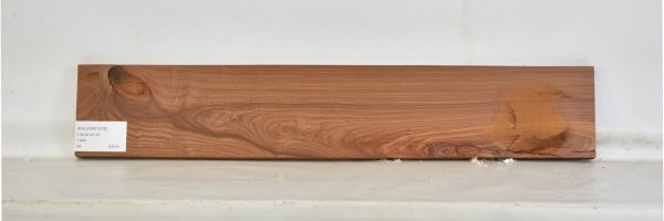 PAUFER1078_2