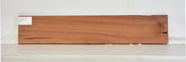 PAUFER1080_2