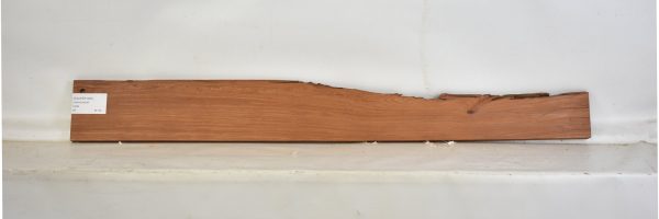 PAUFER1081_2