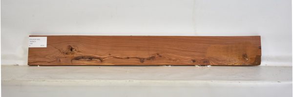 PAUFER1083_1