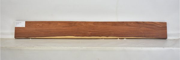 PAUFER1087_2
