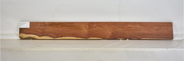 PAUFER1088_2