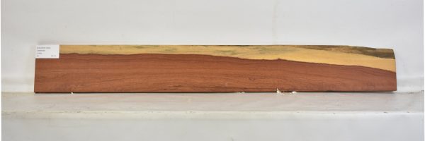 PAUFER1092_2