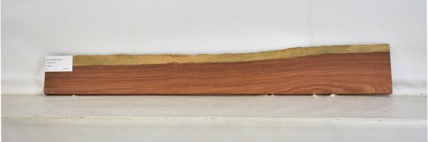 PAUFER1097_1
