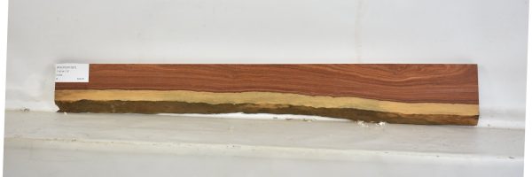 PAUFER1097_2