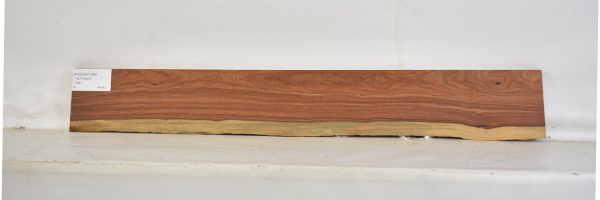 PAUFER1098_1