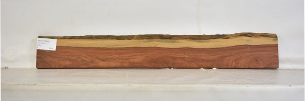 PAUFER1098_2