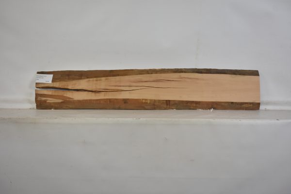 PEARSW1151_1
