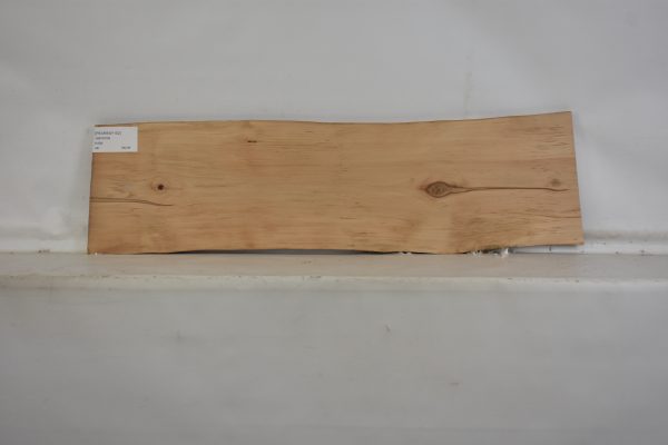 PEARSW1152_1