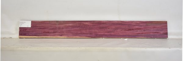 PURP1375_1