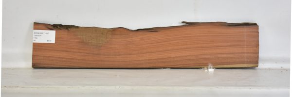 ROSESANT1037_1