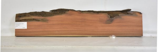 ROSESANT1038_1