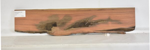 ROSESANT1038_2