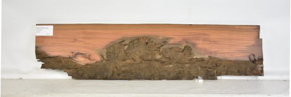 ROSESANT1039_2