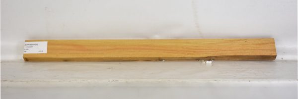 SATINEI1124_2
