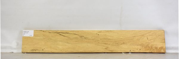 TAMSP1018_2