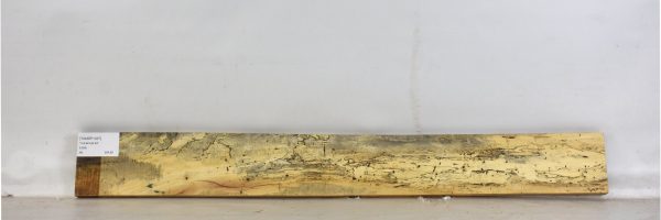 TAMSP1027_2