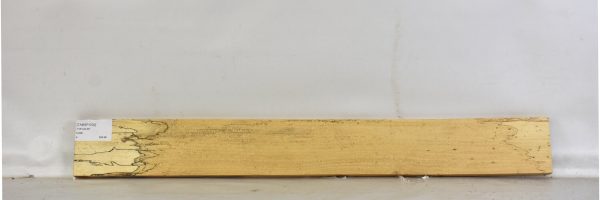 TAMSP1030_1