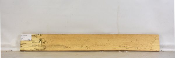 TAMSP1030_2