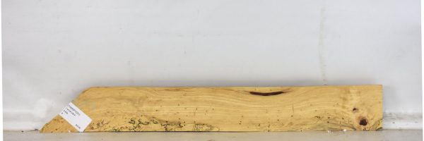 TAMSP1031_2
