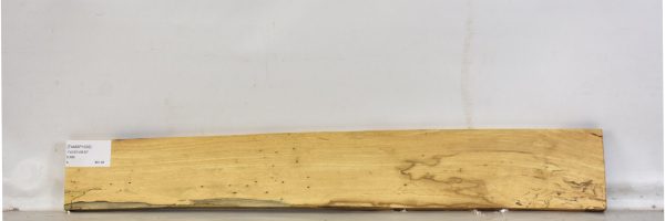 TAMSP1032_1