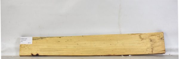 TAMSP1032_2