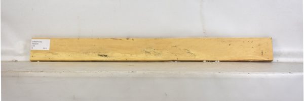 TAMSP1033_2