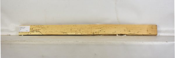 TAMSP1034_1