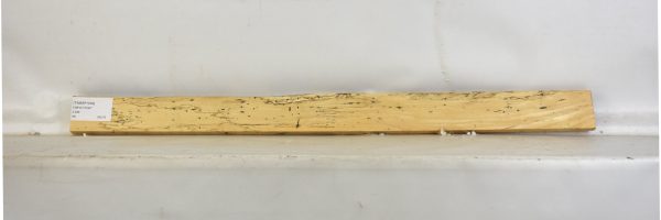 TAMSP1034_2