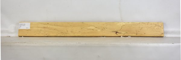TAMSP1035_2