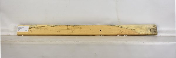 TAMSP1036_1