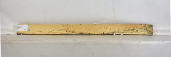 TAMSP1036_2