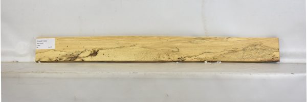 TAMSP1039_2