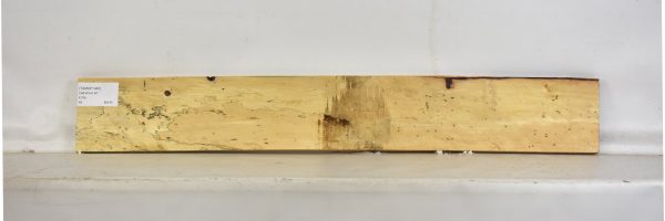 TAMSP1040_2