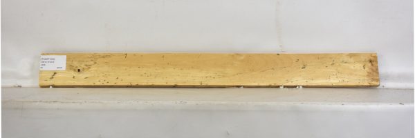 TAMSP1054_1