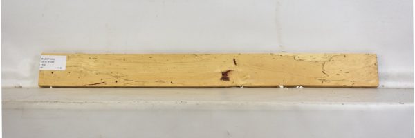 TAMSP1054_2