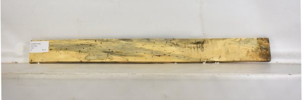 TAMSP1056_1