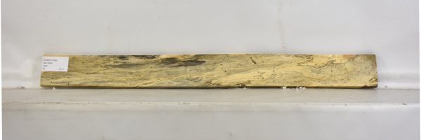 TAMSP1056_2