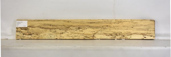 TAMSP1057_1