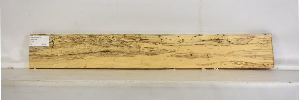 TAMSP1057_2