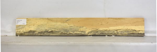 TAMSP1058_2
