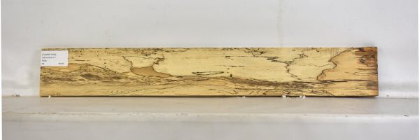 TAMSP1059_2