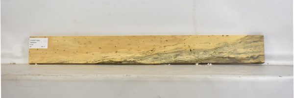 TAMSP1060_2