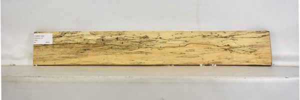 TAMSP1062_2