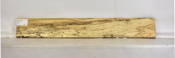 TAMSP1063_1